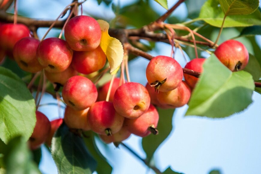 TatyanaMishchenko/istockphoto.com