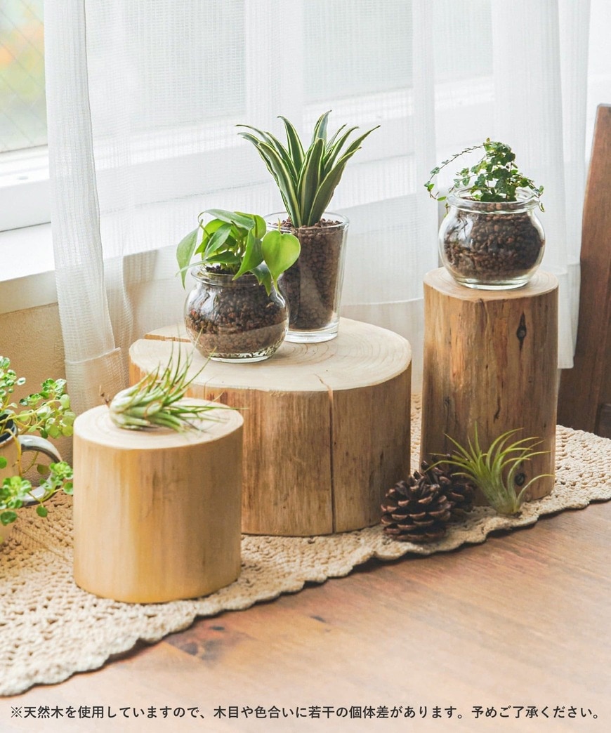 パルグループ公式ファッション通販サイト