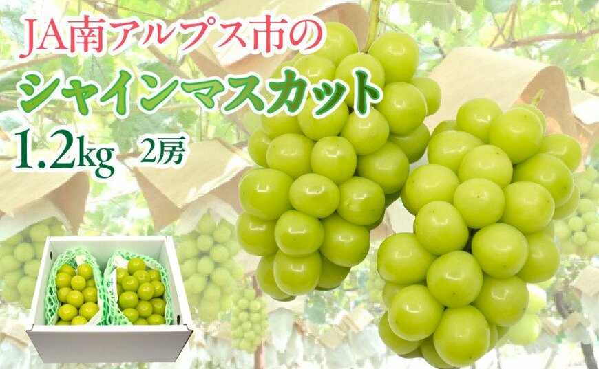 ふるさと納税
