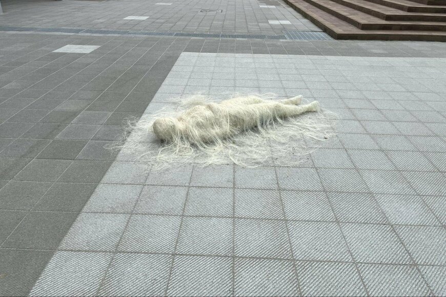 大学のキャンパス内での光景