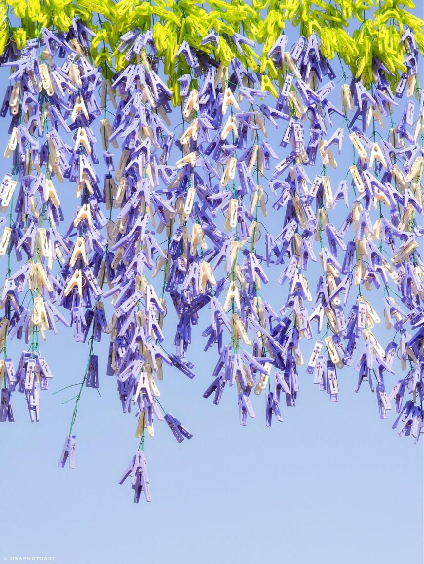 洗濯バサミでできた藤の花