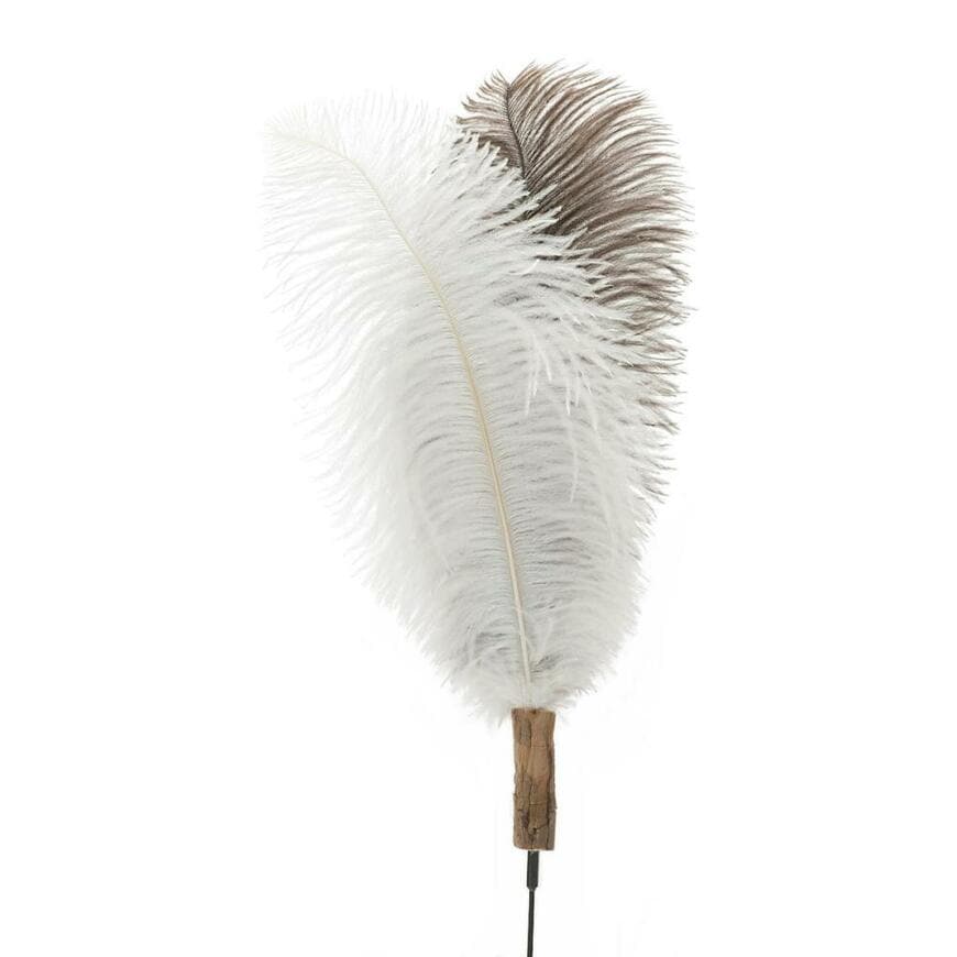 株式会社コメリ、超ロング猫じゃらし画像