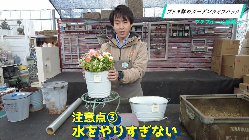 ブリキ鉢を使うときは水をやり過ぎない