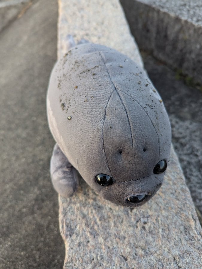 男性2人組に拾ってもらったぬいぐるみ