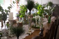 【ガーデニング】秋から挑戦！水耕栽培におすすめの〈球根植物＆観葉植物5選〉