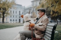 おひとりさま「60歳代～70歳代」の年金月額・生活費・貯蓄額から年金暮らしを覗く