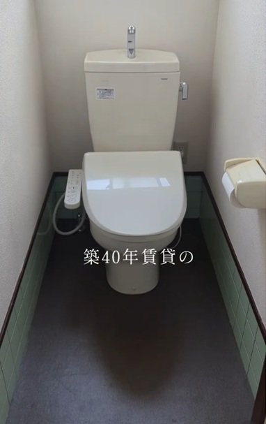 変身前のトイレ
