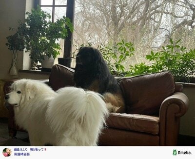 假屋崎省吾の公式ブログ投稿