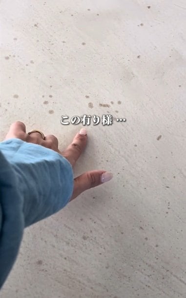 投稿の画像