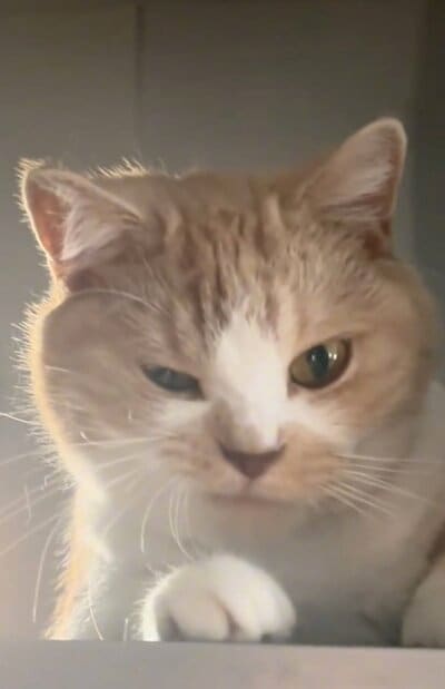 投稿の画像