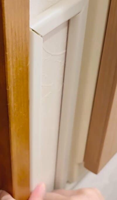 投稿動画のワンシーン