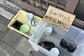 「お皿ほしい方どうぞ」とラーメン店の店頭へ置いたところ… 食器と一緒になくなったものに思わずびっくり