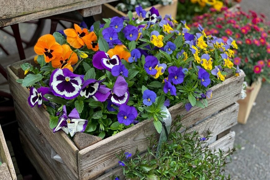 Lapa Smile/shutterstock.com