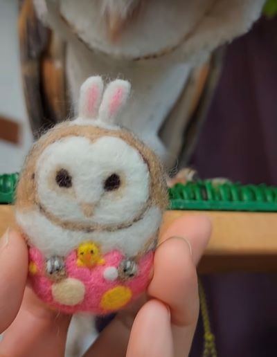 出所：@miki4wan108