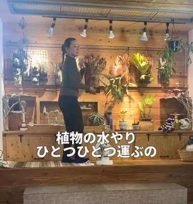 「ウチの庭に欲しい」一つひとつ植物を運んで行う水やりを解消するDIY。一気に運べて丸ごと水やりできるボタニカルラックを自作する手順と仕上がり