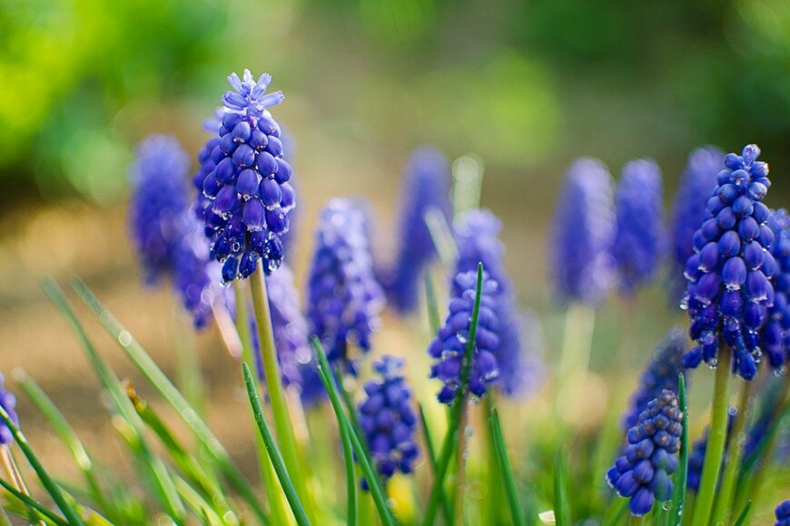 Galyna0404/istockphoto.com