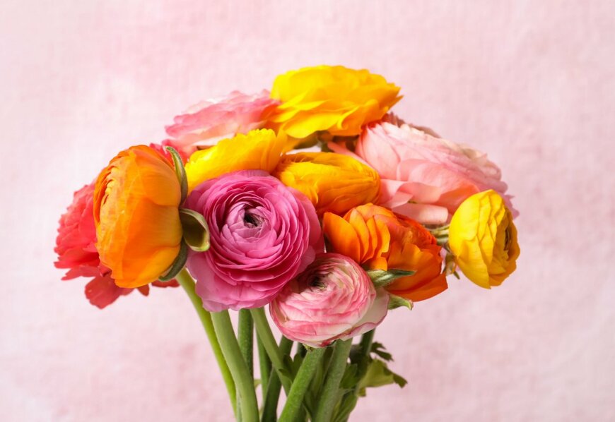 New Africa/shutterstock.com