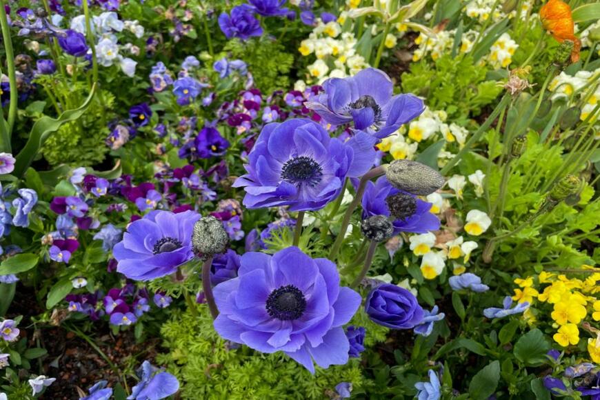 Lapa Smile/shutterstock.com