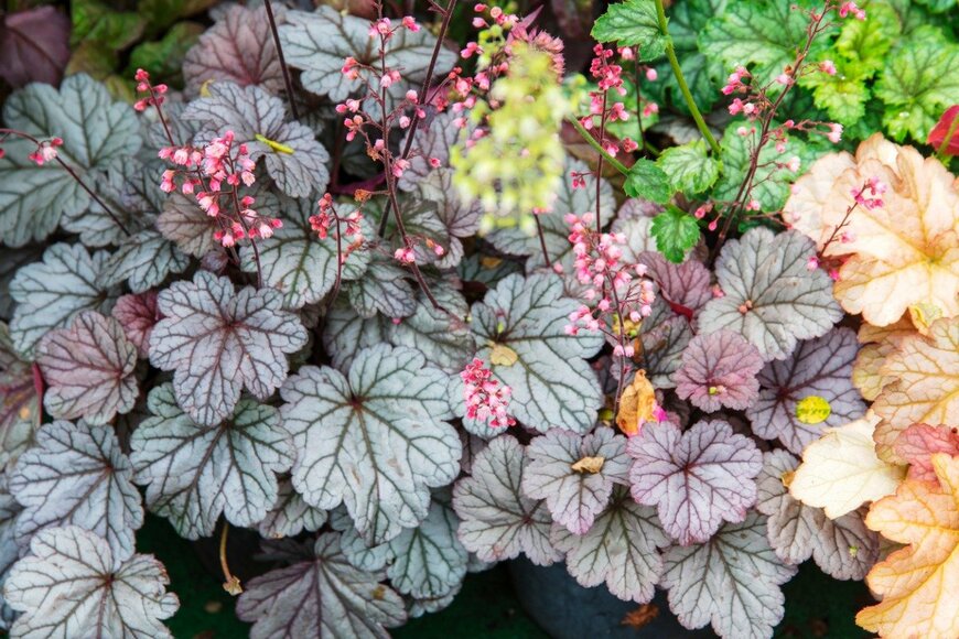 itasun/istockphoto.com