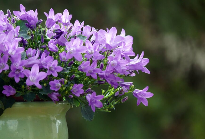 Sequoy/shutterstock.com