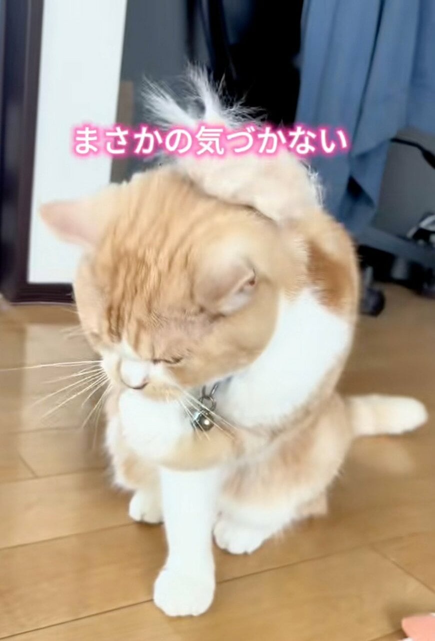 出所：@sorakai0905