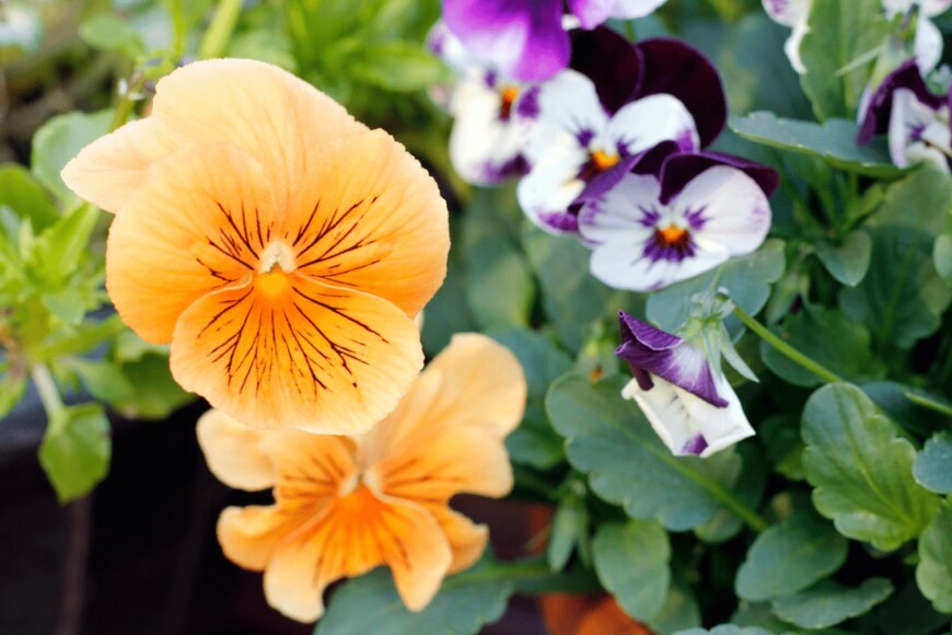 BambiG/istockphoto.com