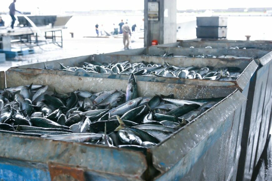 Koichi Yoshii/istockphoto.com