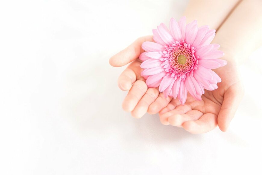 shironagasukujira/istockphoto.com