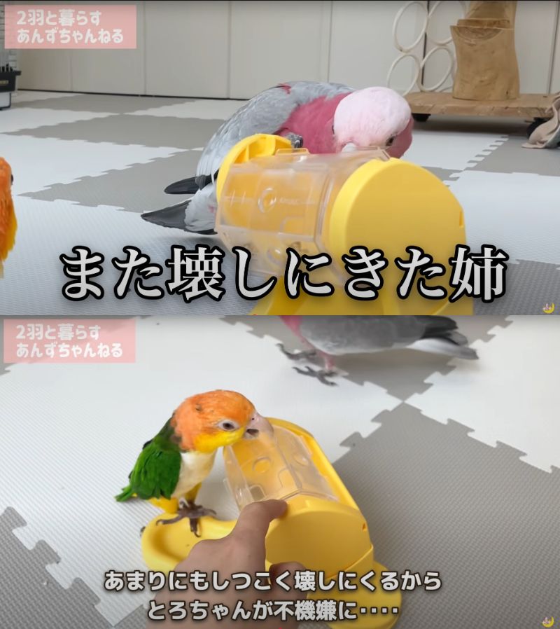 出所：@anz_omomiri