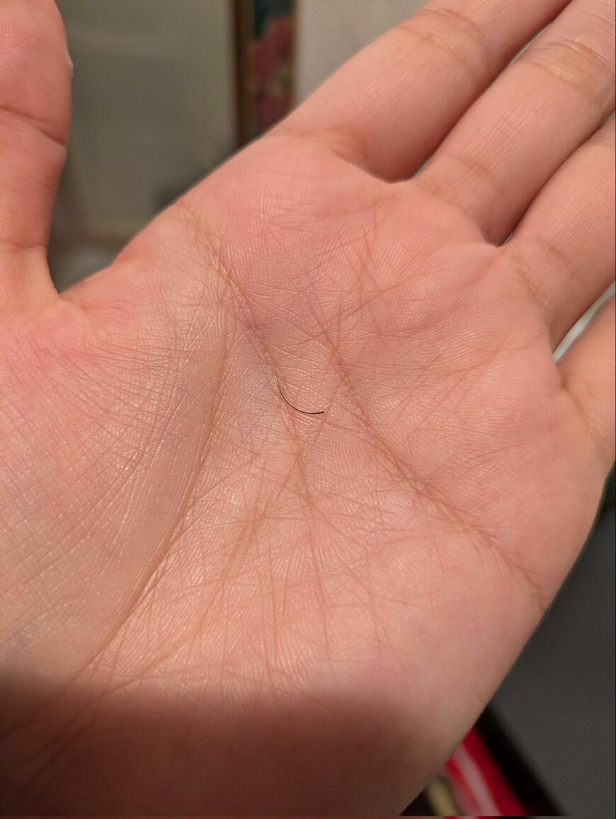 出所：@menchoko1209501