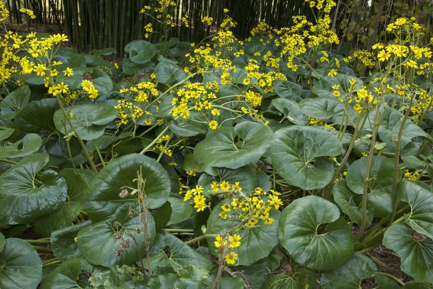 NajaShots/istockphoto.com