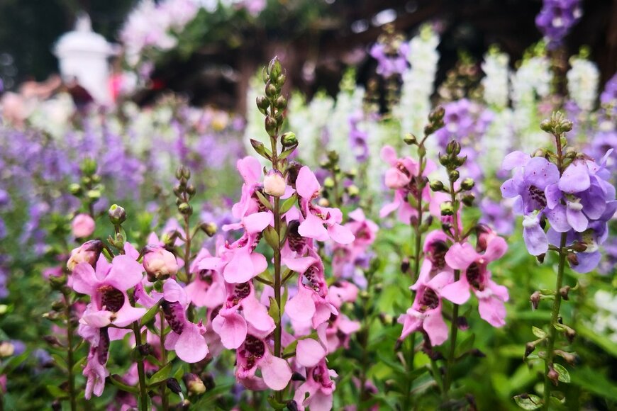 Omkoi/Shutterstock.com