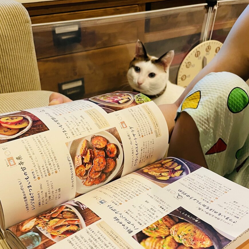 出所：@tsukune216