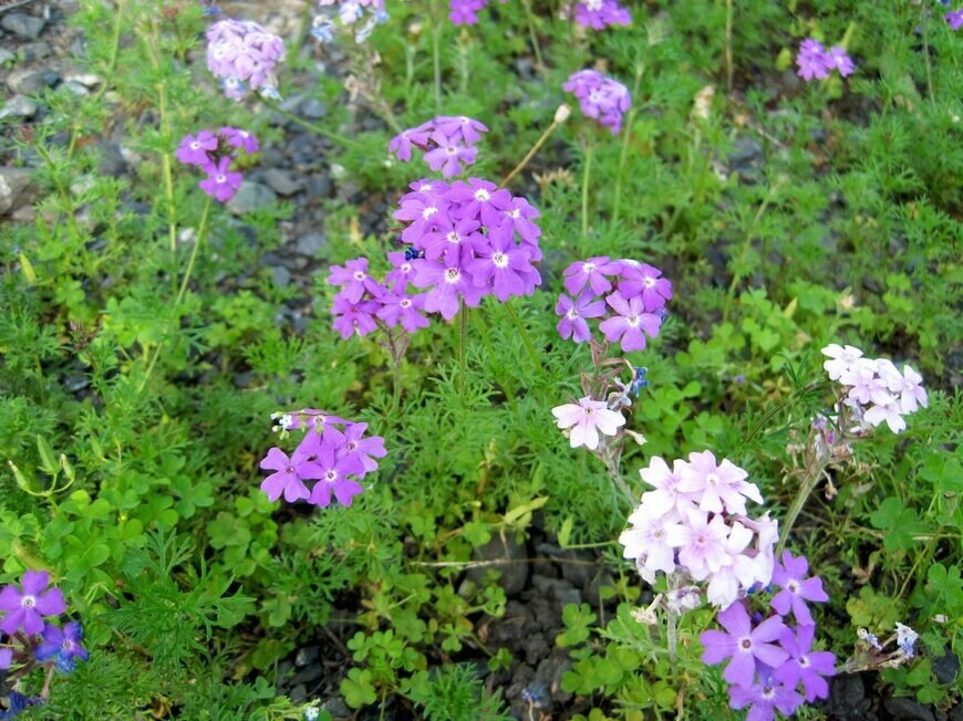 meikoKODAKA/istockphoto.com