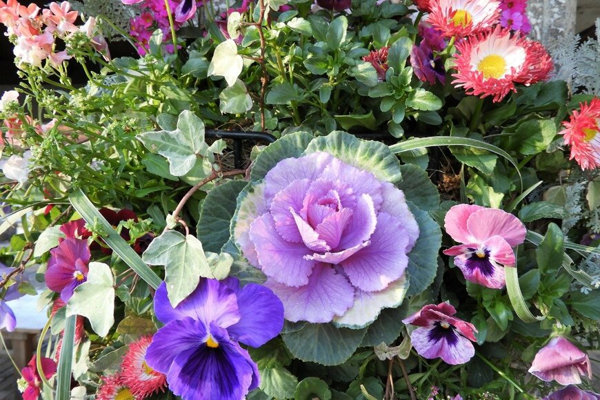 Chiemi Kumitani/istockphoto.com