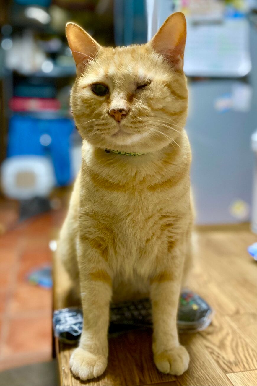 出所：@luna7taka9