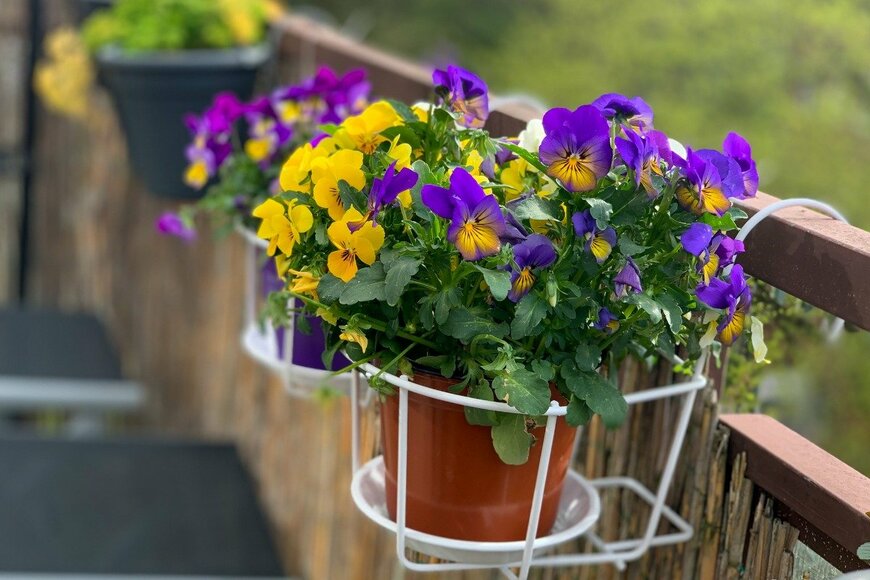 lapasmile/istockphoto.com