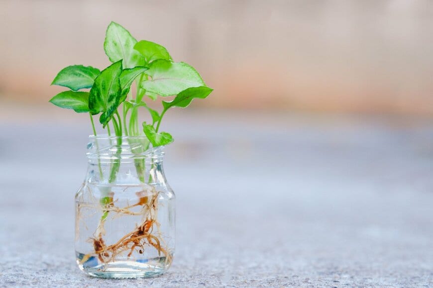 Oporty786/shutterstock.com