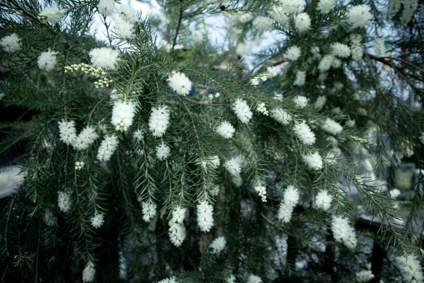 Ilen Photograph/shutterstock.com