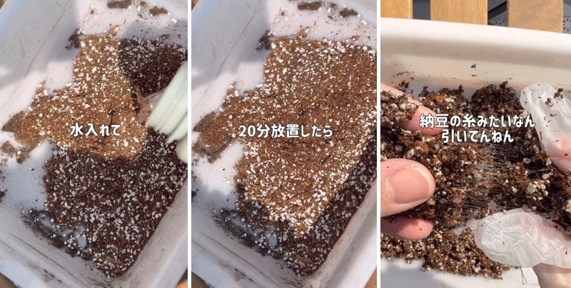 投稿の画像