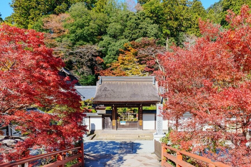 室生寺の紅葉