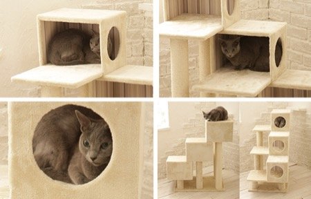 高齢の猫やジャンプが苦手な猫ものぼりやすい