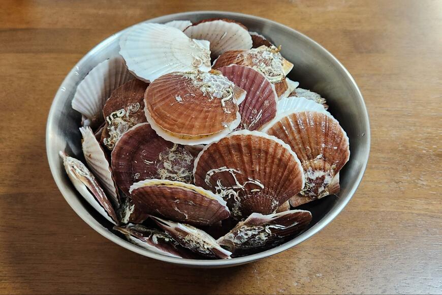 大きめのボウルに入ったホタテ
