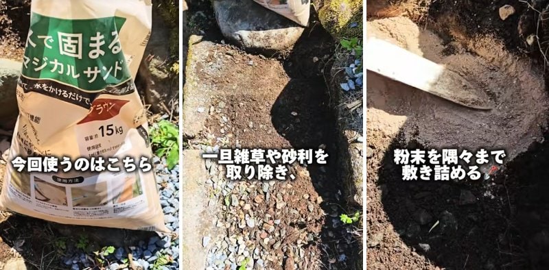 投稿の画像