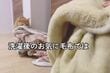 【毛布が大好きな猫】興味をなくした毛布を幼児が借りたら　「まさかの展開」に思わず二度見