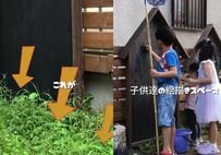 【親子でお庭DIY】日陰で雑草が荒れた庭を、石板×カラーモルタルパネルで清潔感あふれる遊び場に！