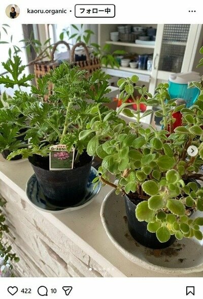 杉田かおるのInstagram投稿