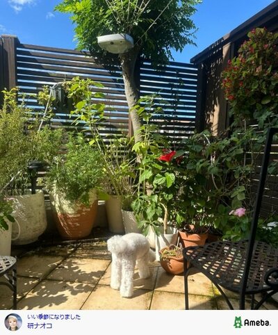 研ナオコが投稿した写真