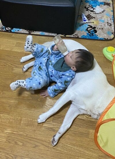 投稿の画像