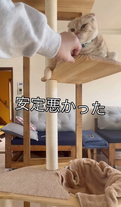 投稿の画像